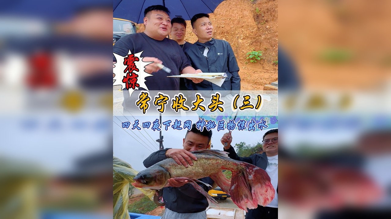 震惊！天降尤物，全网最美，看强子如何捕捞世界上最奇怪的蝴蝶鱼