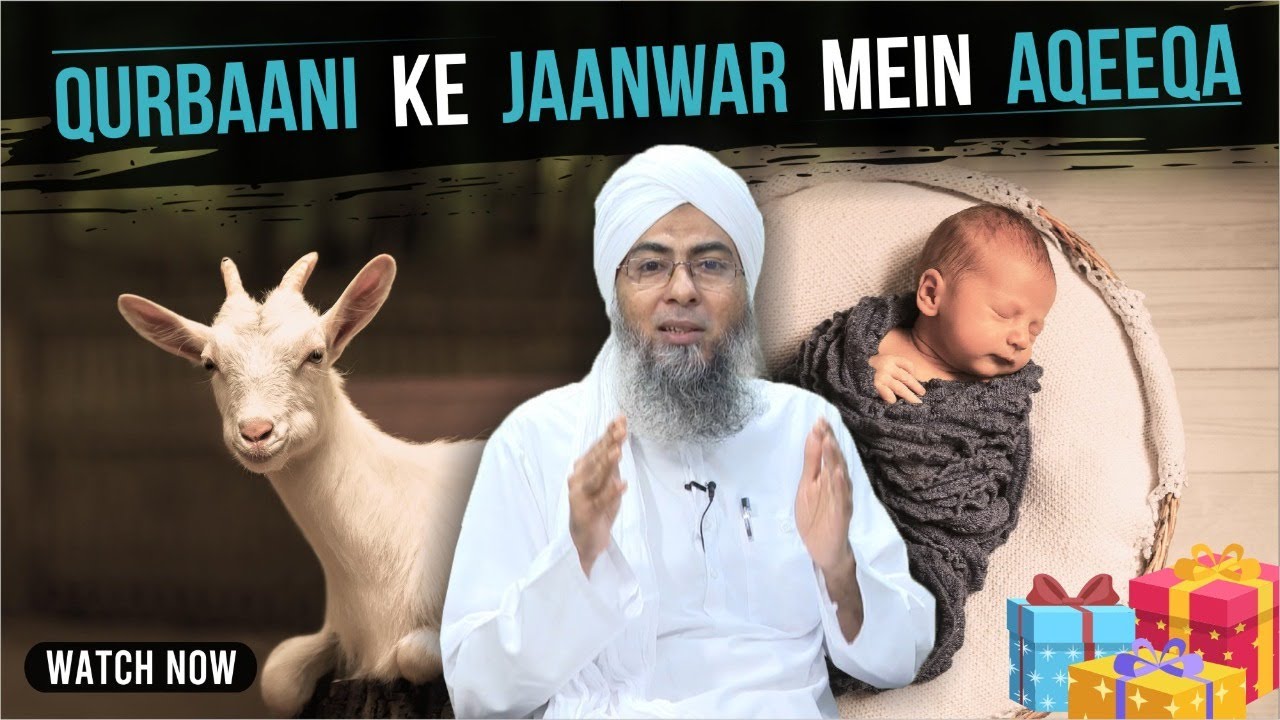 Qurbani Ke Jaanwar Me Aqeeqa Karna Kaisa - Mufti Yahya Raza Misbahi - Dawateislami India