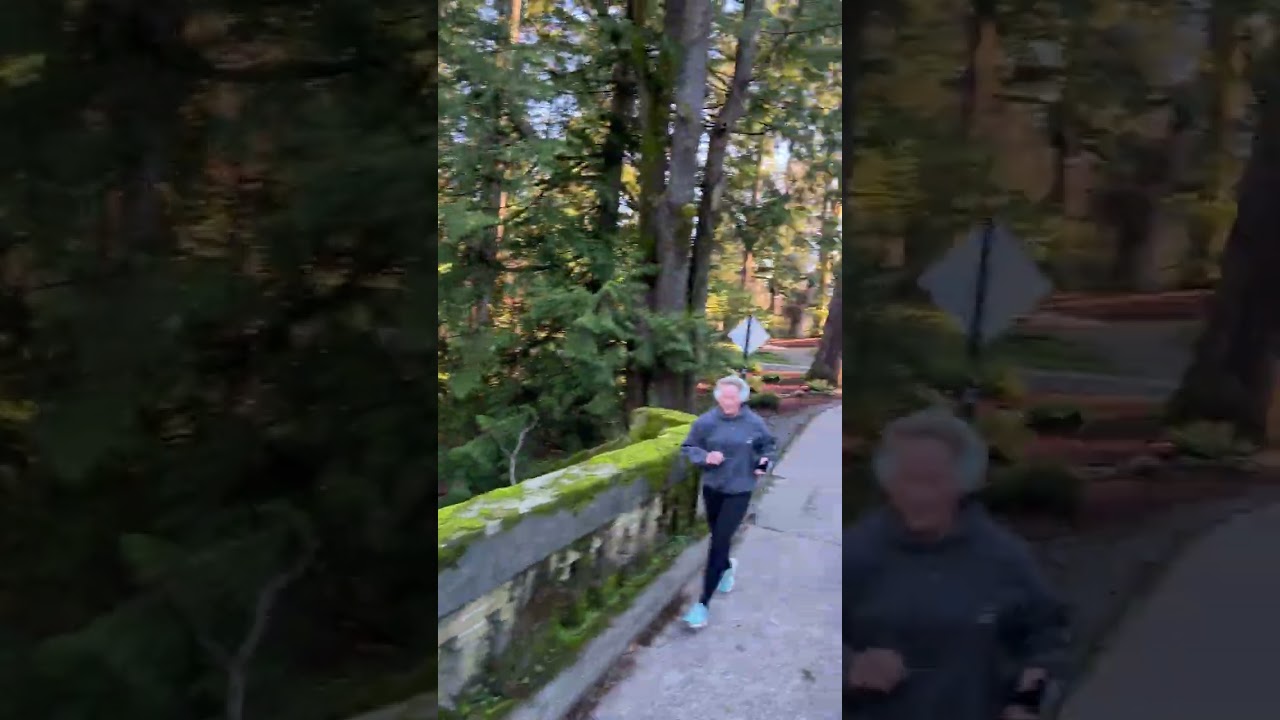 Crossing the Arboretum Stone Bridge, Seattle Arboretum Walk 2026 0116