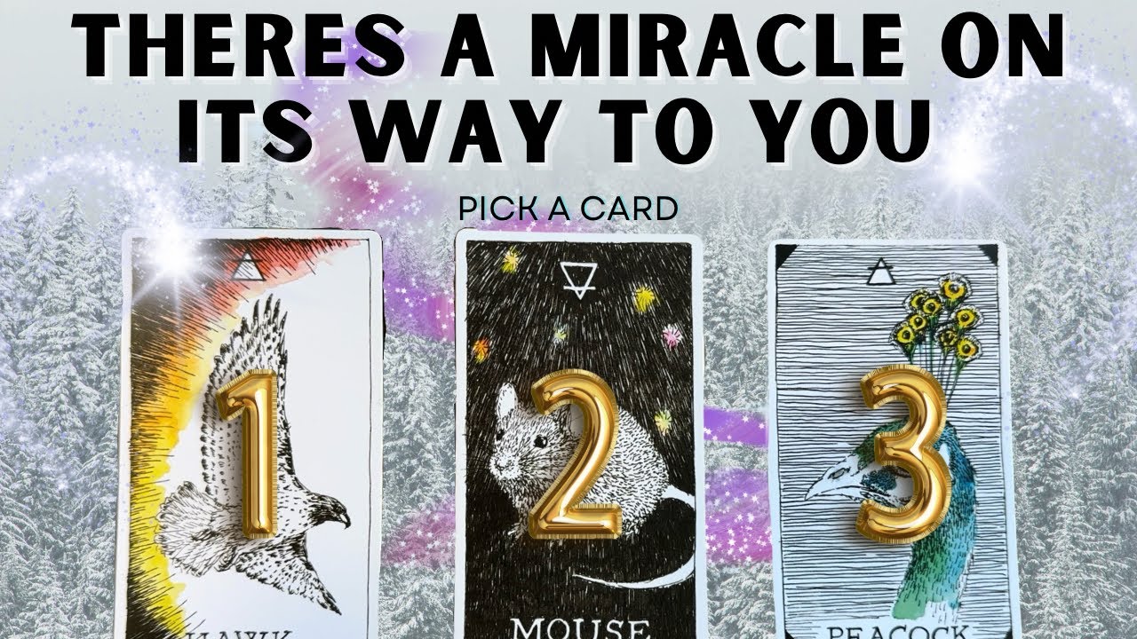 There’s a Miracle Coming Your Way NOW!!! 🌼Pick A Card🌼
