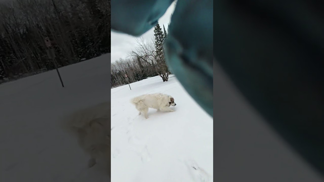 down yonder on the prairie