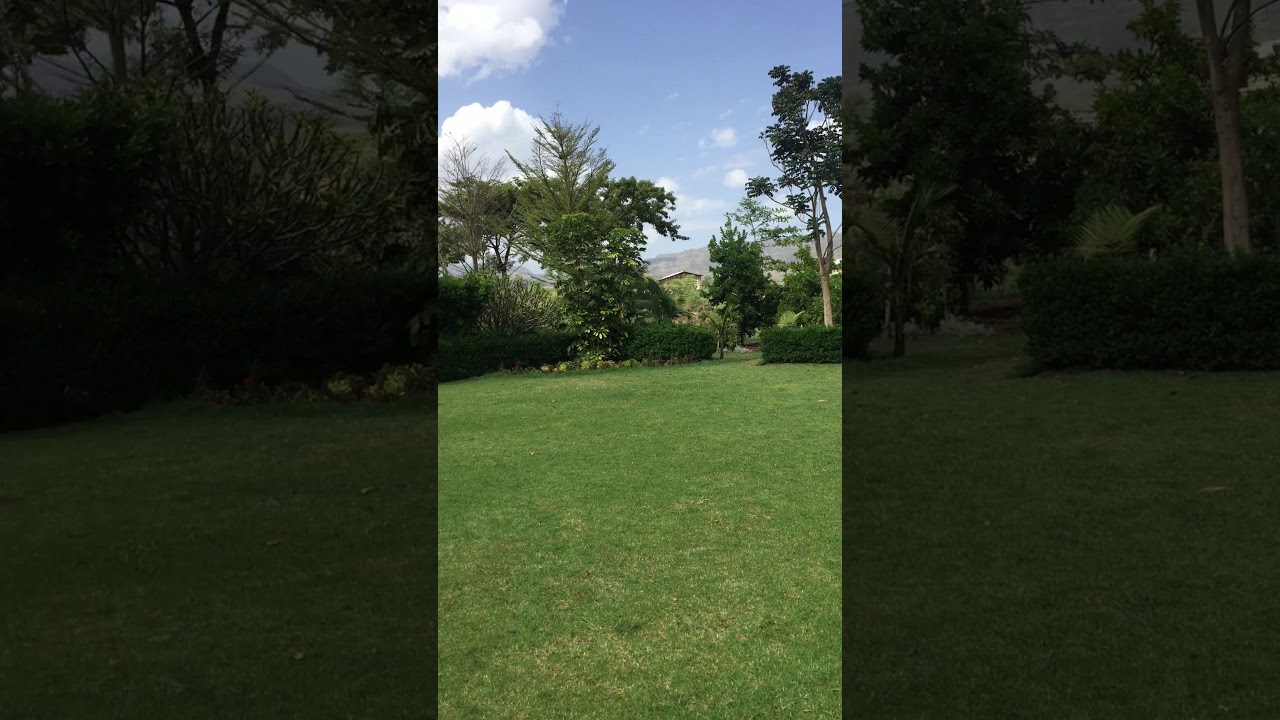 ኮቻ  መናፈሻ ማግባት ያሰባችሁ   ውብ መናፈሻ👏💚💛❤️ወሎ ኮቻ