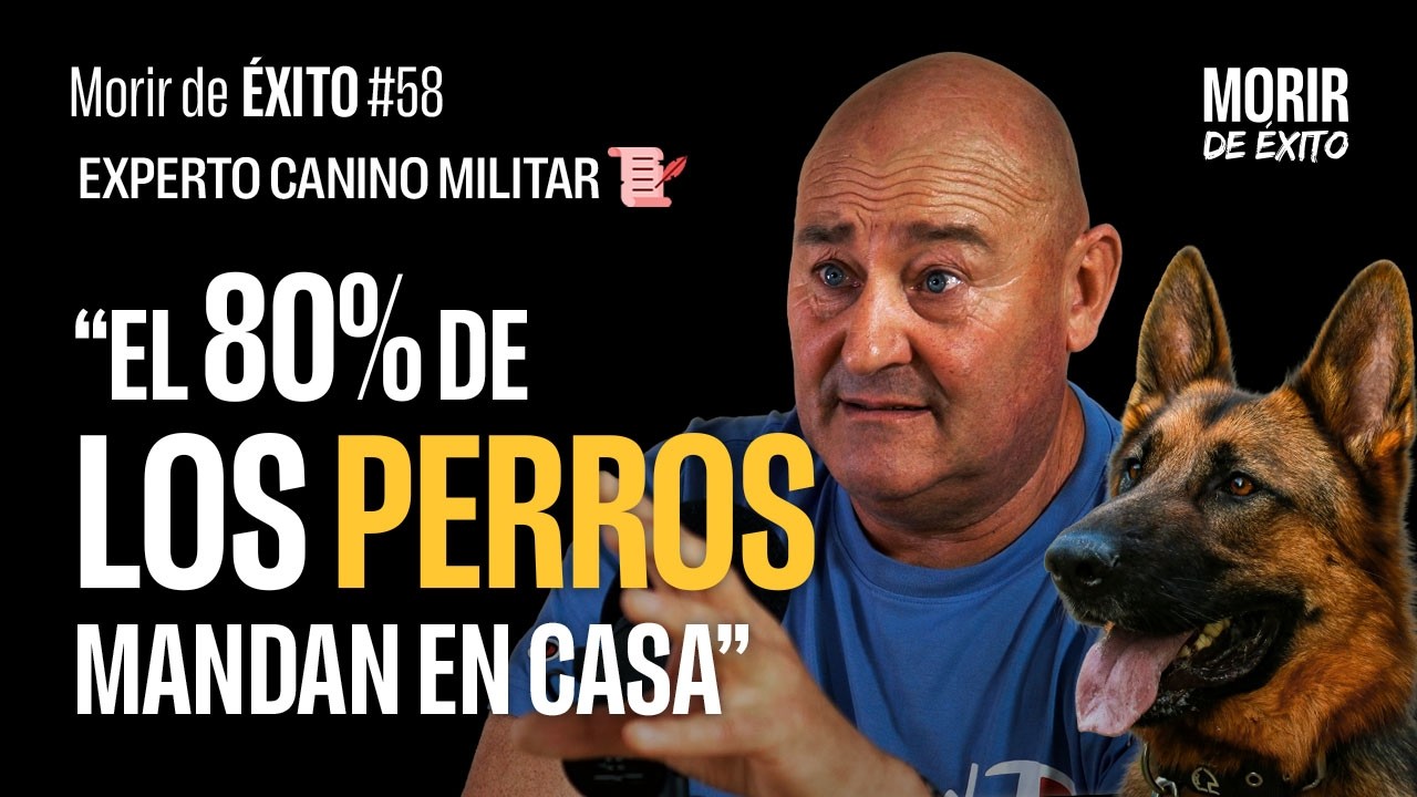 Humanizar al perro es el PEOR ERROR que puedes cometer &ndash; Educaci&oacute;n CANINA &ndash; Enrique Molina