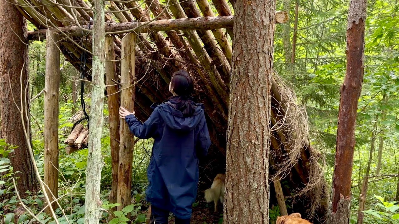 A Hidden Bushcraft Camp in the Forest