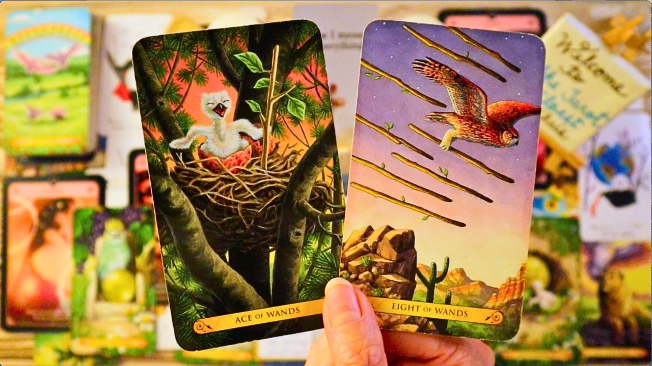 I REALLY HOPE YOU SEE THIS BEFORE THEY REACH OUT!! ❤️ NO CONTACT, ALL SIGNS TAROT