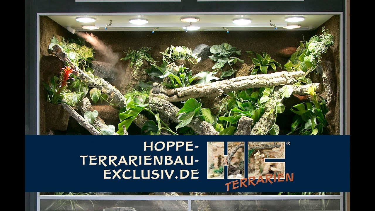Megagro&szlig;es Regenwaldterrarium BTH 220x90x180 cm