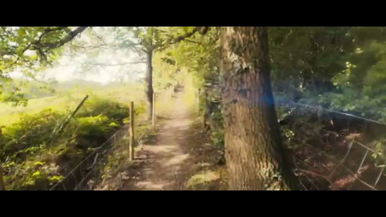 Dollis Valley Discovery: Part Two Unveiled 🌿🚶&zwj;♂️