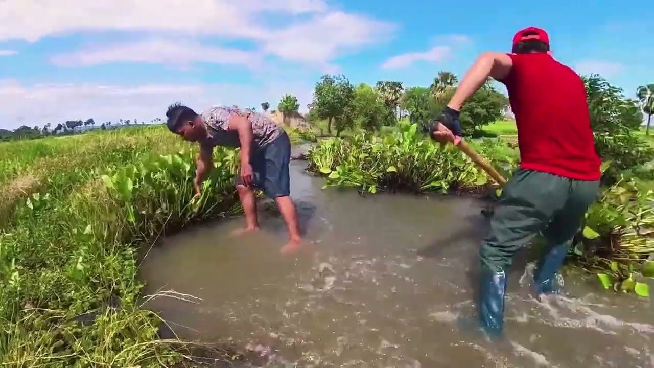 Action Remove Floating Plants Clogged Drain On Massive Dam After Heavy Rain