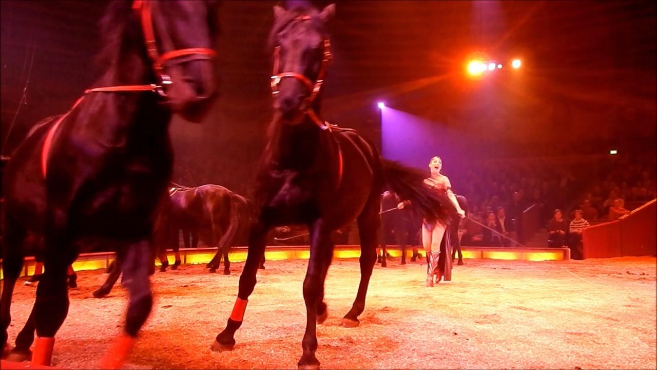 Circus Krone München: das 1. Winterprogramm 2017 Teil 3-3