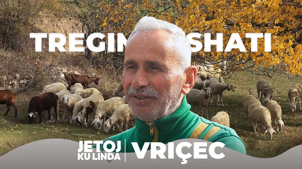 Jetoj ku linda - Vriçeci, fshati me pesë banorë e shumë bagëti  @teve1