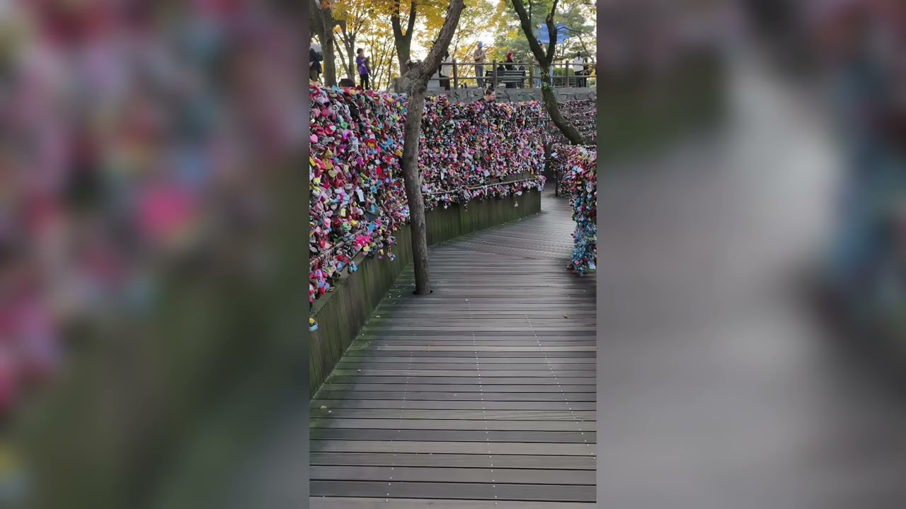 2025韓國行_備份3