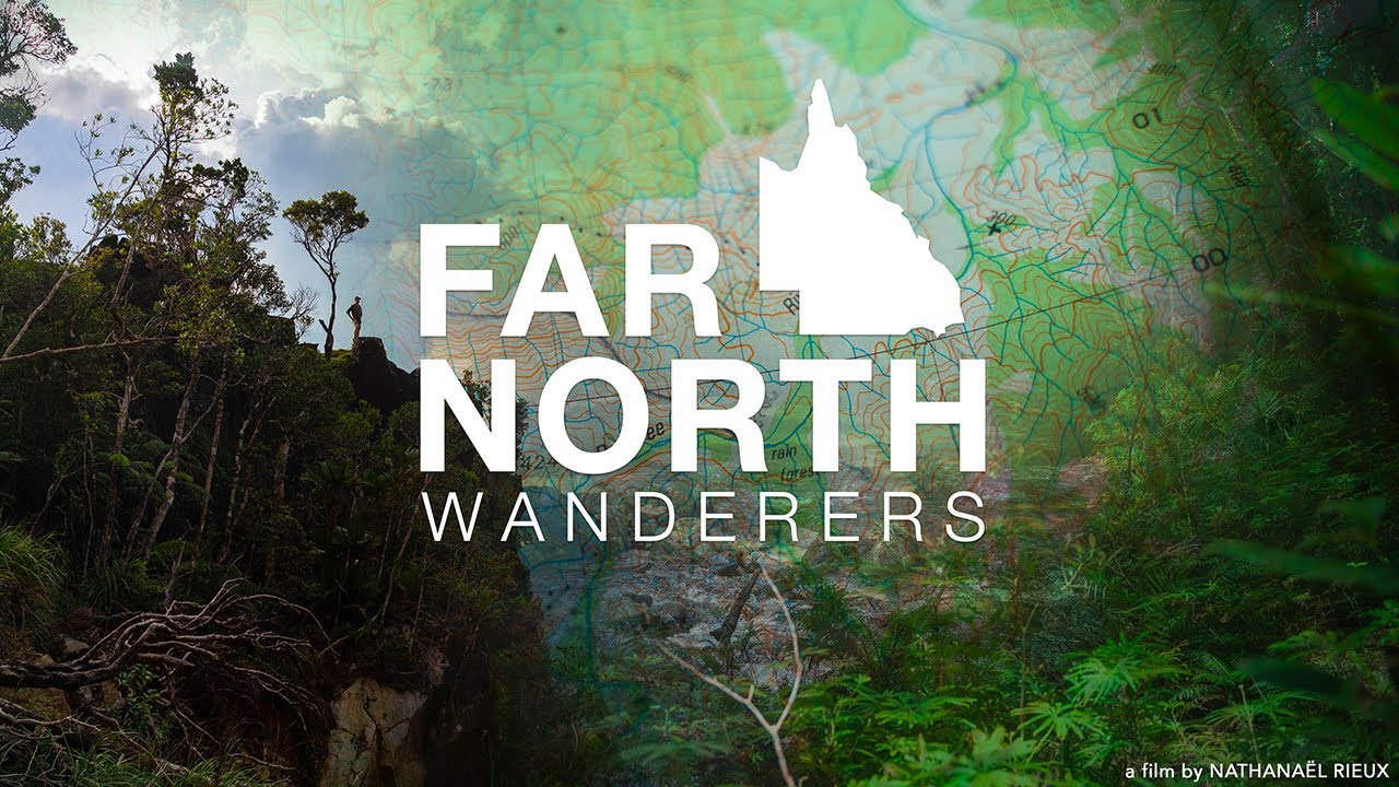 FAR NORTH WANDERERS : Exploring the Wet Tropics of Queensland - DAINTREE Rainforest Australia!