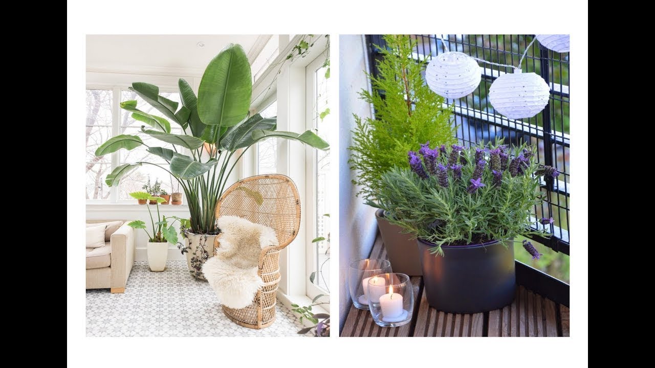 22 Sch&ouml;ne Pflanzen Deko Ideen f&uuml;r Haus