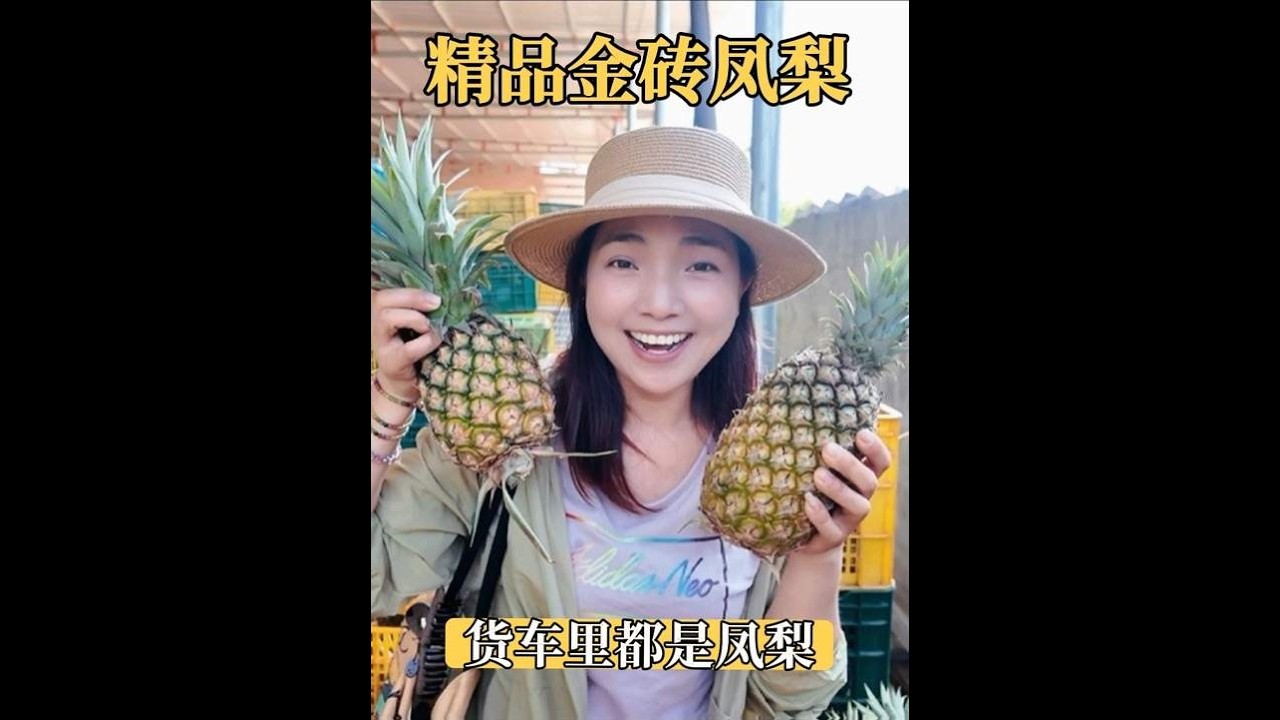 海南金砖凤梨果然好吃，地里捡的小果都甜，小微摆摊卖凤梨如何？ 一人一车到海南，今天给货车装了很多凤梨，准备去摆摊卖金砖凤