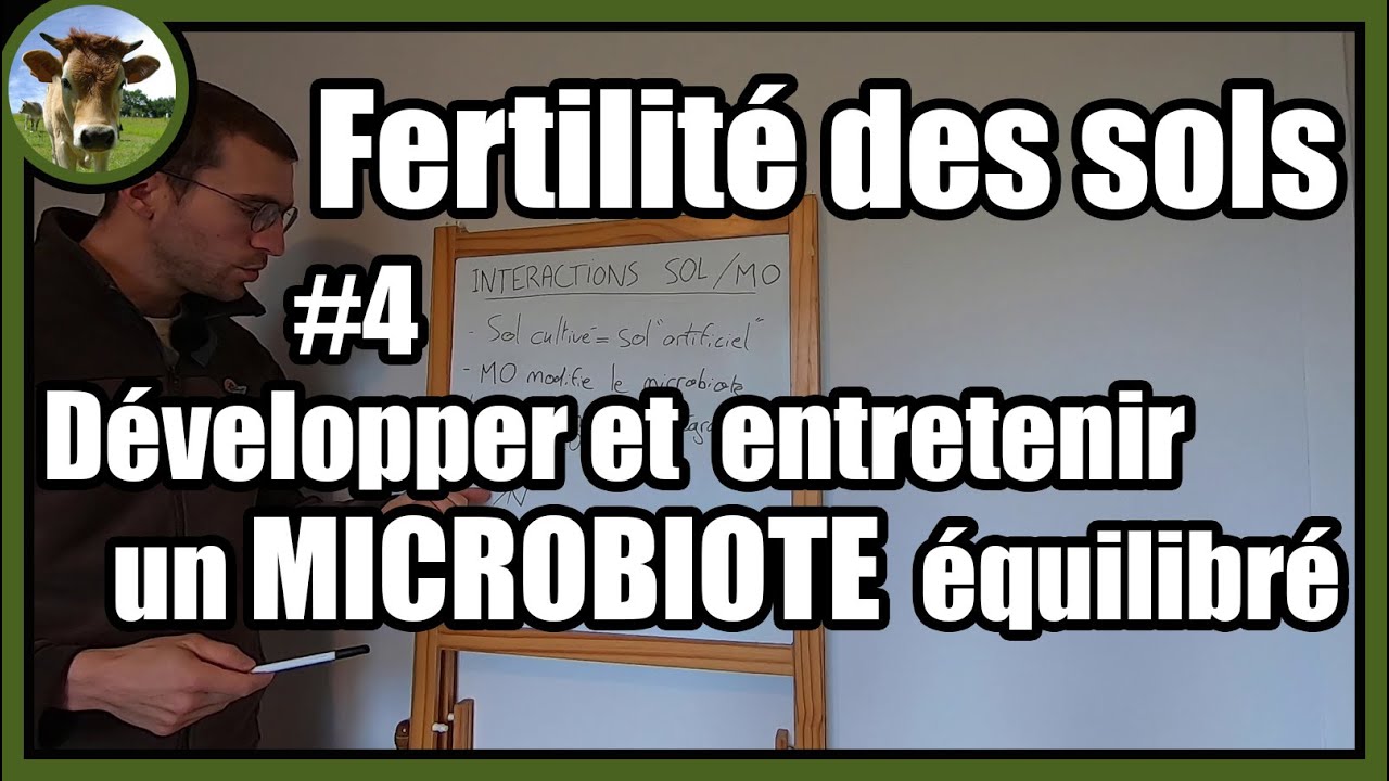 #4 Microbiote, Lignine, C/N, faim d&rsquo;azote,&hellip; Interactions MO / SOL | S&eacute;rie L&rsquo;agronomie du p&eacute;quenaud