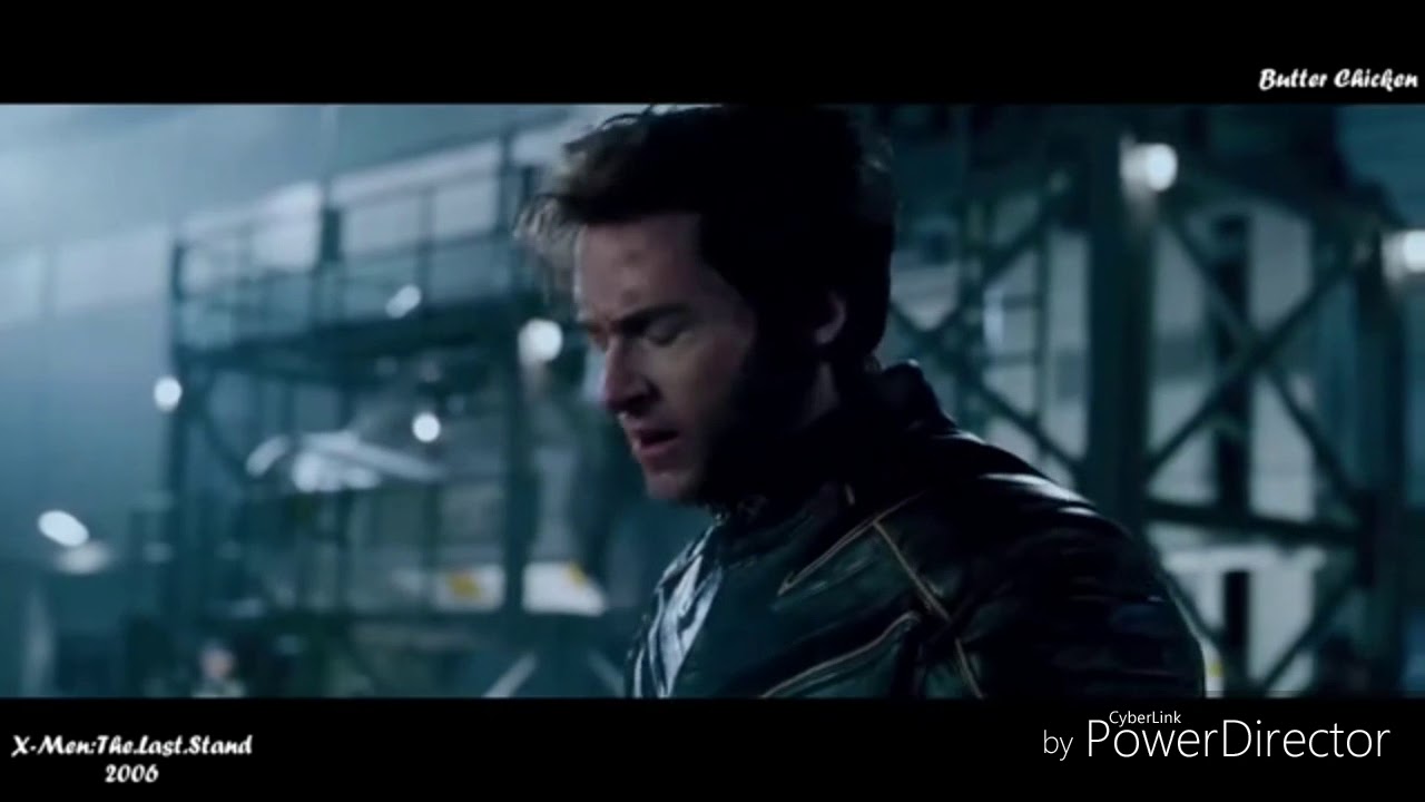 Wolverine tribute - Animals