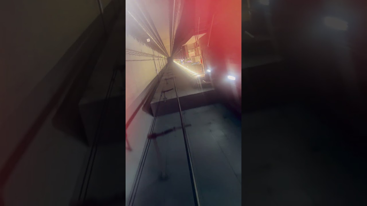 Delhi Metro pink line 