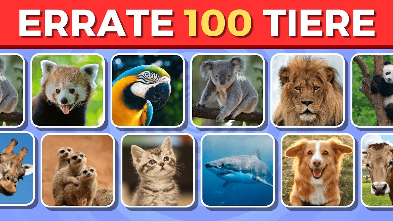 🦧 Kannst du alle Tiere erraten? 🦈 | Errate 100 Tiere in nur 3 Sekunden⏱️