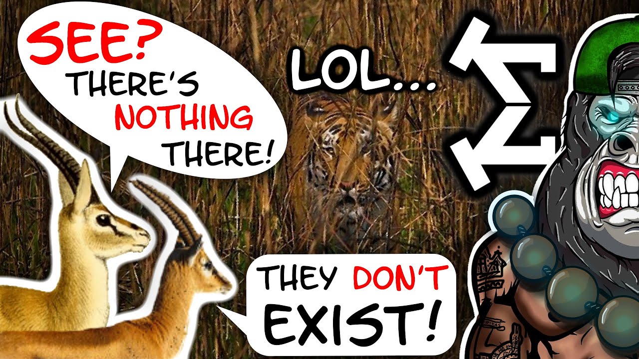 Sigma Males Don't Exist? My Response to: 