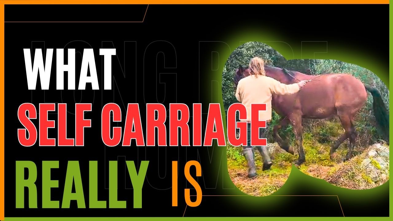 Self Carriage Explained: How to Teach a Horse to Carry Himself in Piaffe | In‑Hand Dressage
