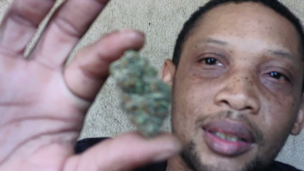 Strain of the day Pie Hoe review