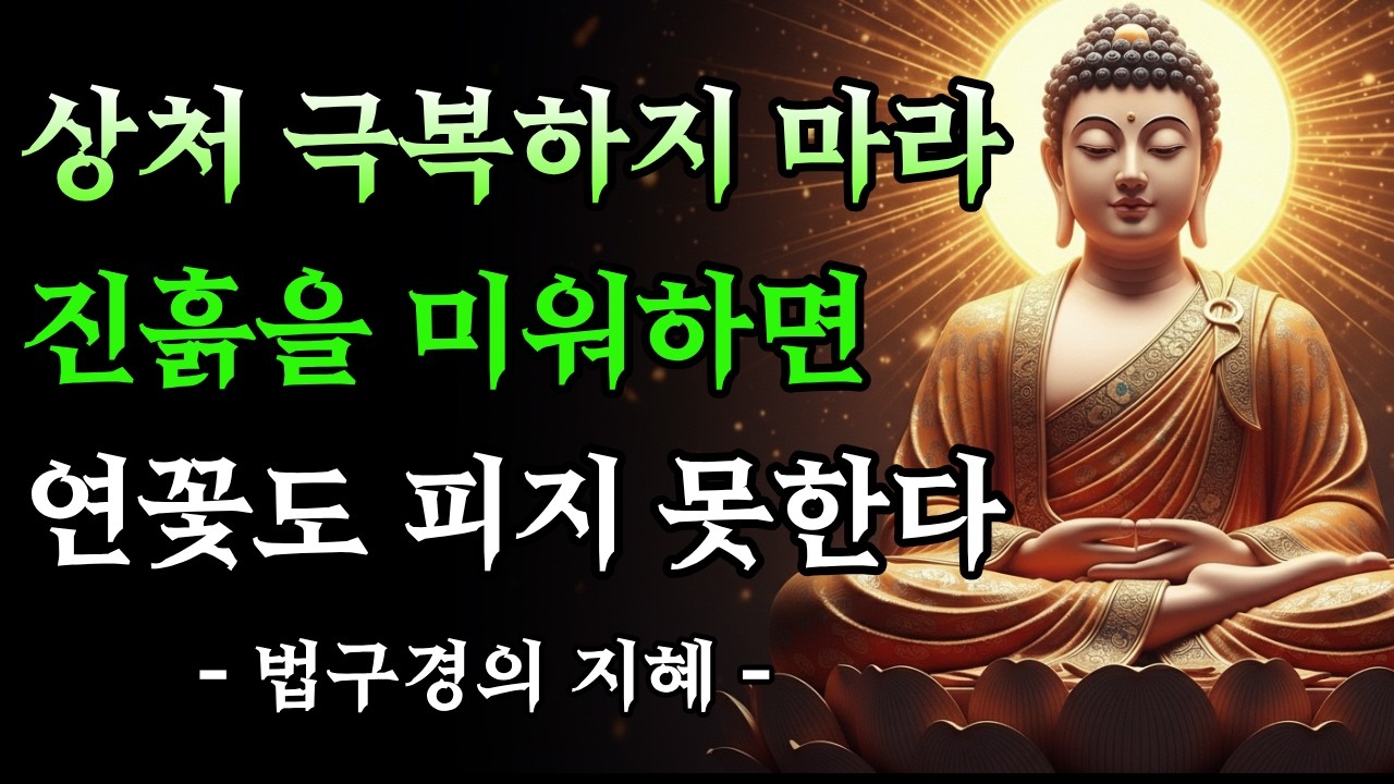 상처 극복하려 하지 마라 진흙을 미워하면 연꽃도 피지 못한다 #부처님말씀 #법구경 #상처 #치유 #인간관계 #불교 #명상 #마음공부 #자기계발 #힐링 #위로 #연꽃 #법문 #지혜
