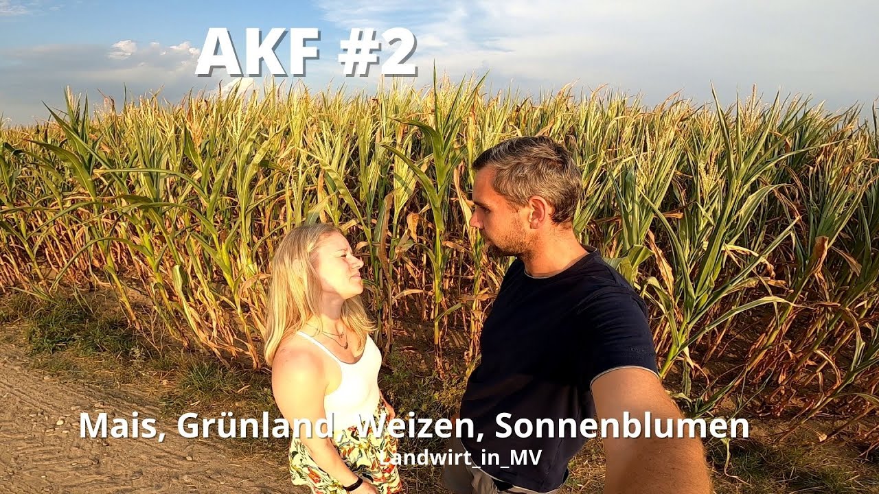 AKF #2 Mais, Grünland, Weizen,Sonnenblumen