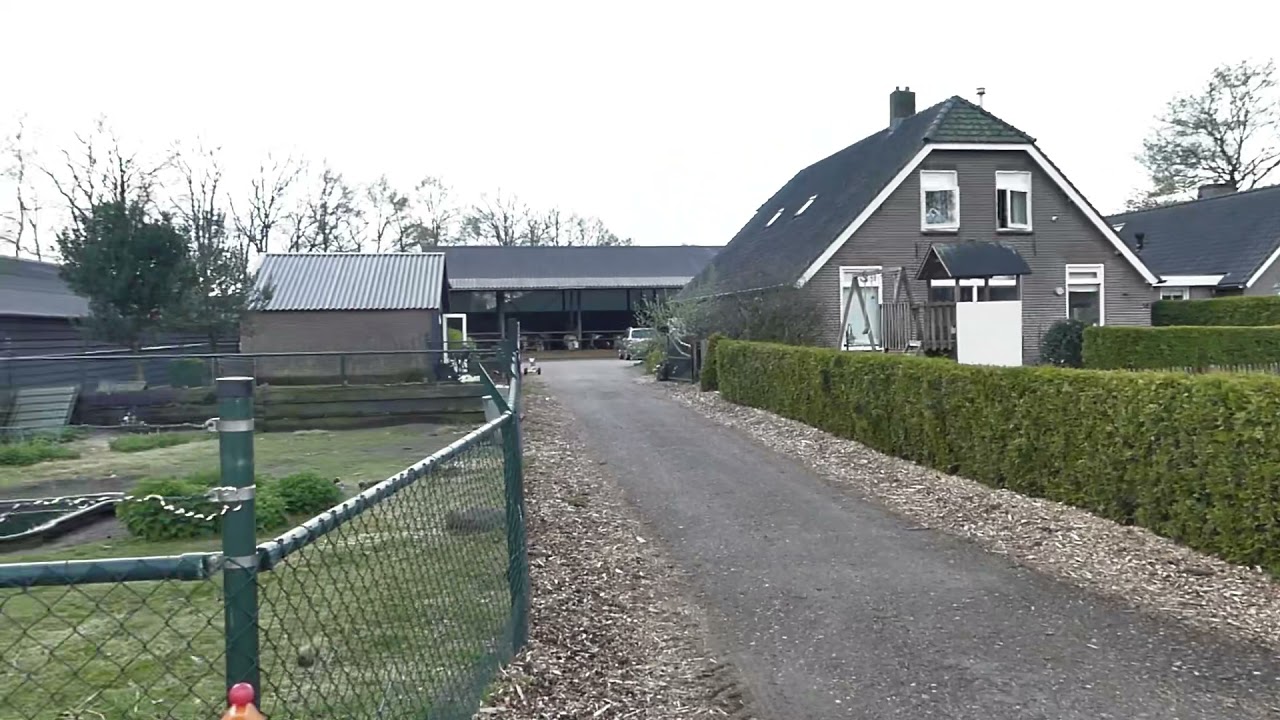 Vleesveebedrijf van den Brink