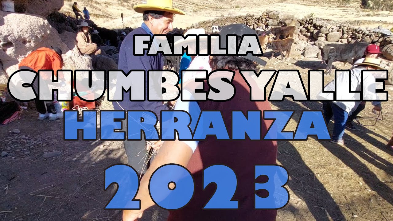 HERRANZA Huachojaiquina 2023 | familia CHUMBES YALLE | ANEXO de HUACHOJAICO | CÓRDOVA | HUAYTARÁ 🐄🐄🐄