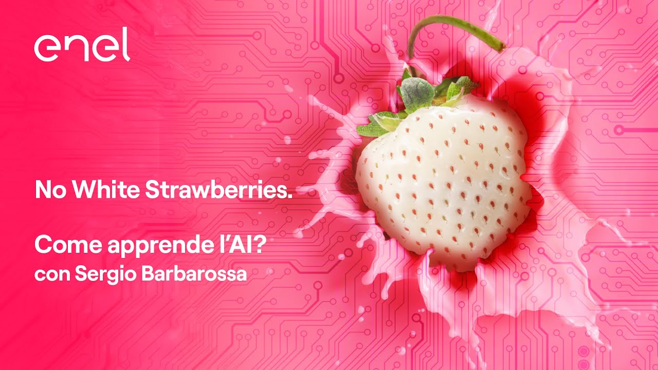Come apprende l’AI? (Sergio Barbarossa)