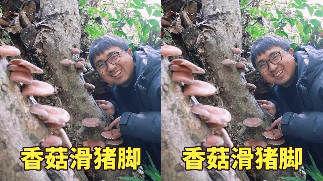 家里的香菇吃不完，冬宝又扯了一盆，和猪脚炖一锅，妈妈直呼真香 #我的乡村生活 #新农人计划2024 #人间烟火 #乡村烟火气最抚凡人心 #乡愁就是一口家乡的味道