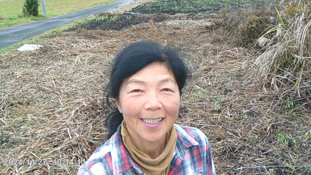 有機JAS認証を目指して　自然農法果樹園アイアイファーム　自然農法家ともちゃん　202４/１１ / 27/茨城県常陸大宮市野上