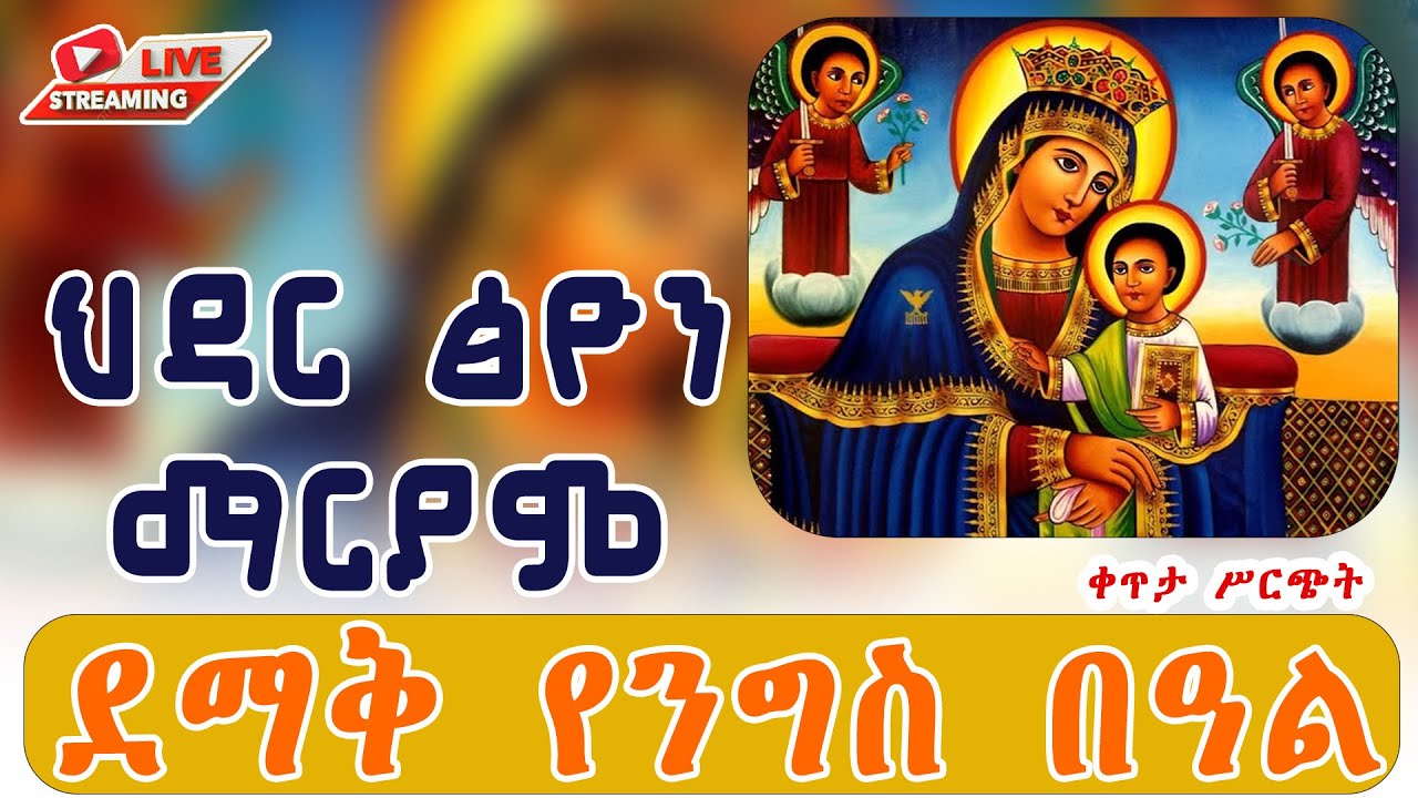 # ቀጥታ ሥርጭት #  ህዳር ጽዮን ማርያም # ደማቅ የንግስ በዓል # ከመንበረ ፓትርያርክ ቅድስተ ቅዱሳን ማርያም ገዳም