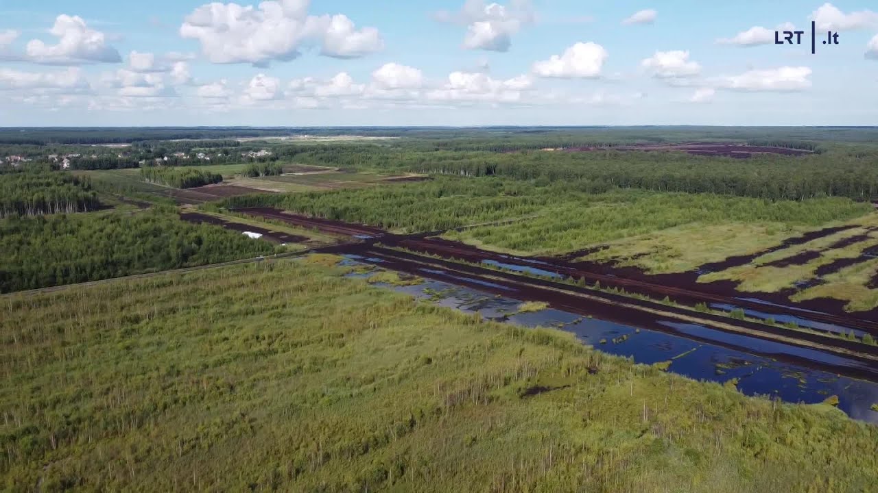 Daiktų istorijos. Durpių galybė, atminimų knygos ir Napoleonmetis Lietuvoje