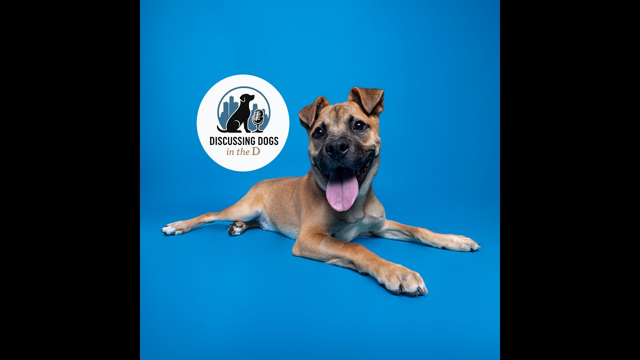 Michelle Mullen - Mi Animal Welfare Foundation
