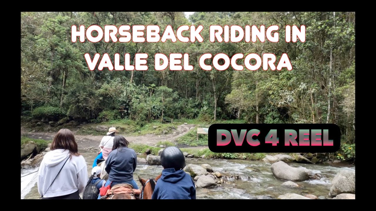 Valle del Cocora Horseback Riding, Salento, Quindío, Colombia