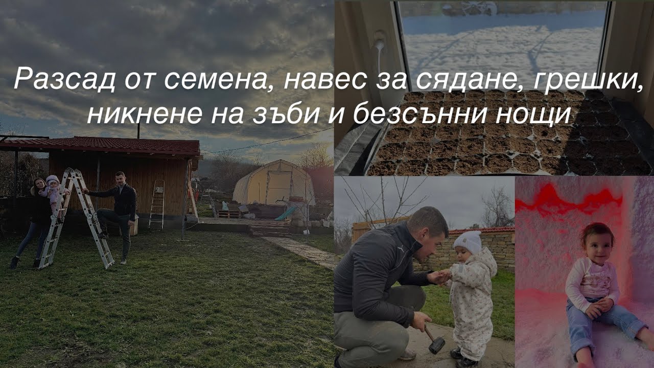 Разсад от семена, навес за сядане, грешки, никнене на зъби и безсънни нощи