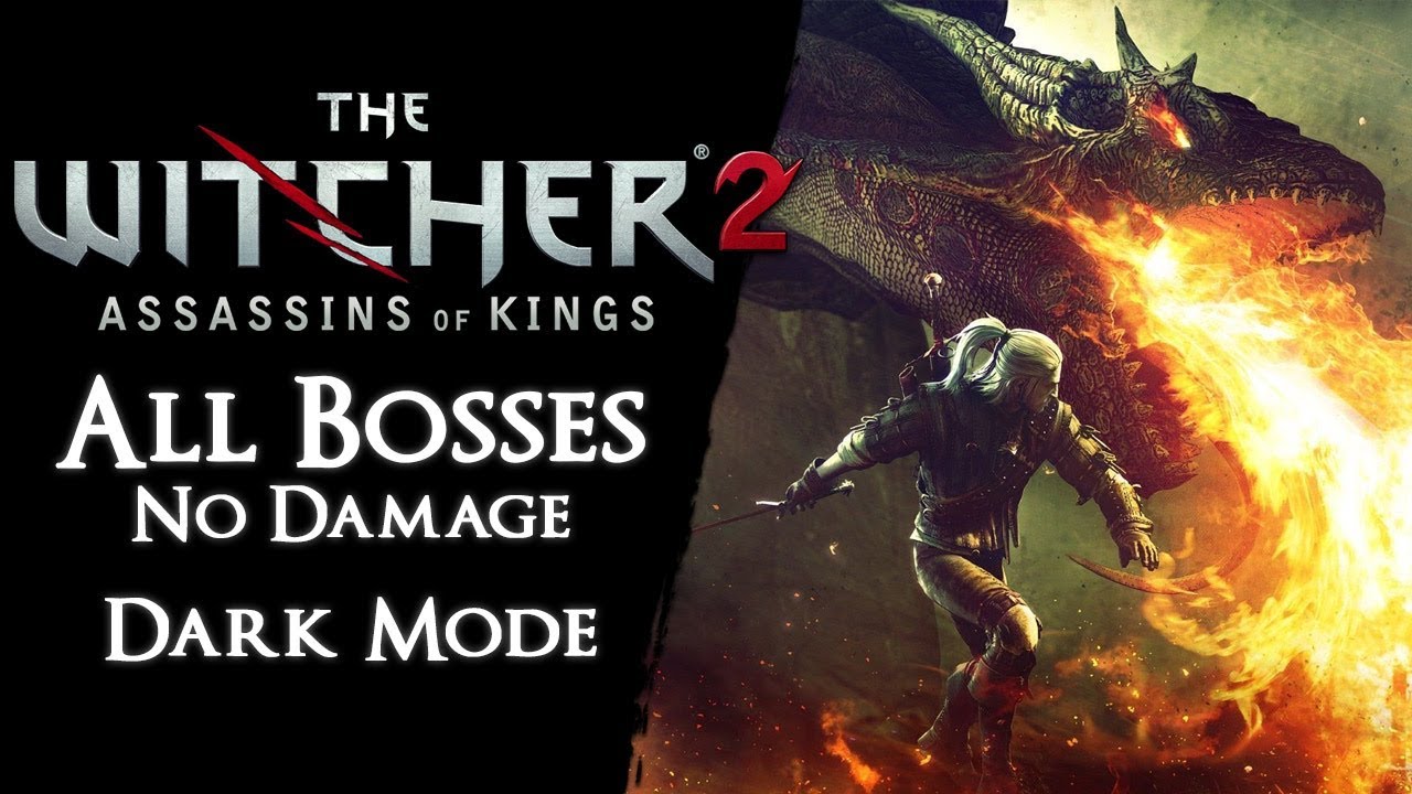 The Witcher 2 Level 1 - All Bosses on Dark【No Damage, Rolling, Potions, Signs*, Armor, Traps, Bombs】