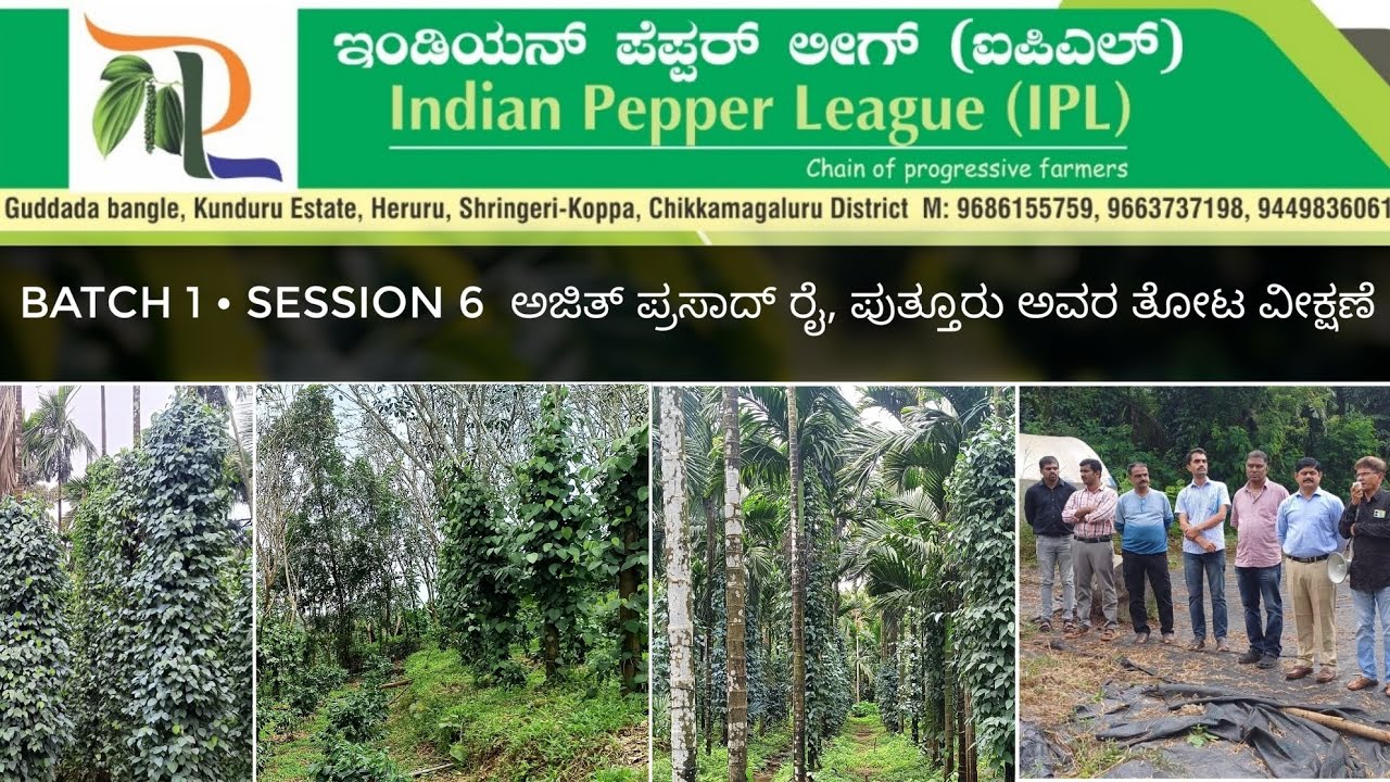 ಅಜಿತ್ ಪ್ರಸಾದ್ ರೈ, ಪುತ್ತೂರು ಅವರು ತೋಟ ವೀಕ್ಷಣೆ. ಇಂಡಿಯನ್ ಪೆಪ್ಪರ್ ಲೀಗ್ (ಐ ಪಿ ಎಲ್) Batch 1 	• Session 6
