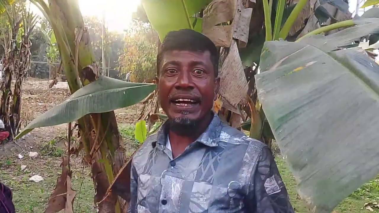 নাঙ্গল মোড়া সাত নম্বর ওয়ার্ড এখনো ভোটের ডিক্লার দাড়ি নাই