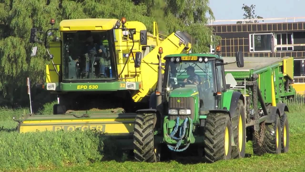 Kapucijners dorsen met 2x Ploeger EPD 530 en EPD 538 Laarakker/Hack