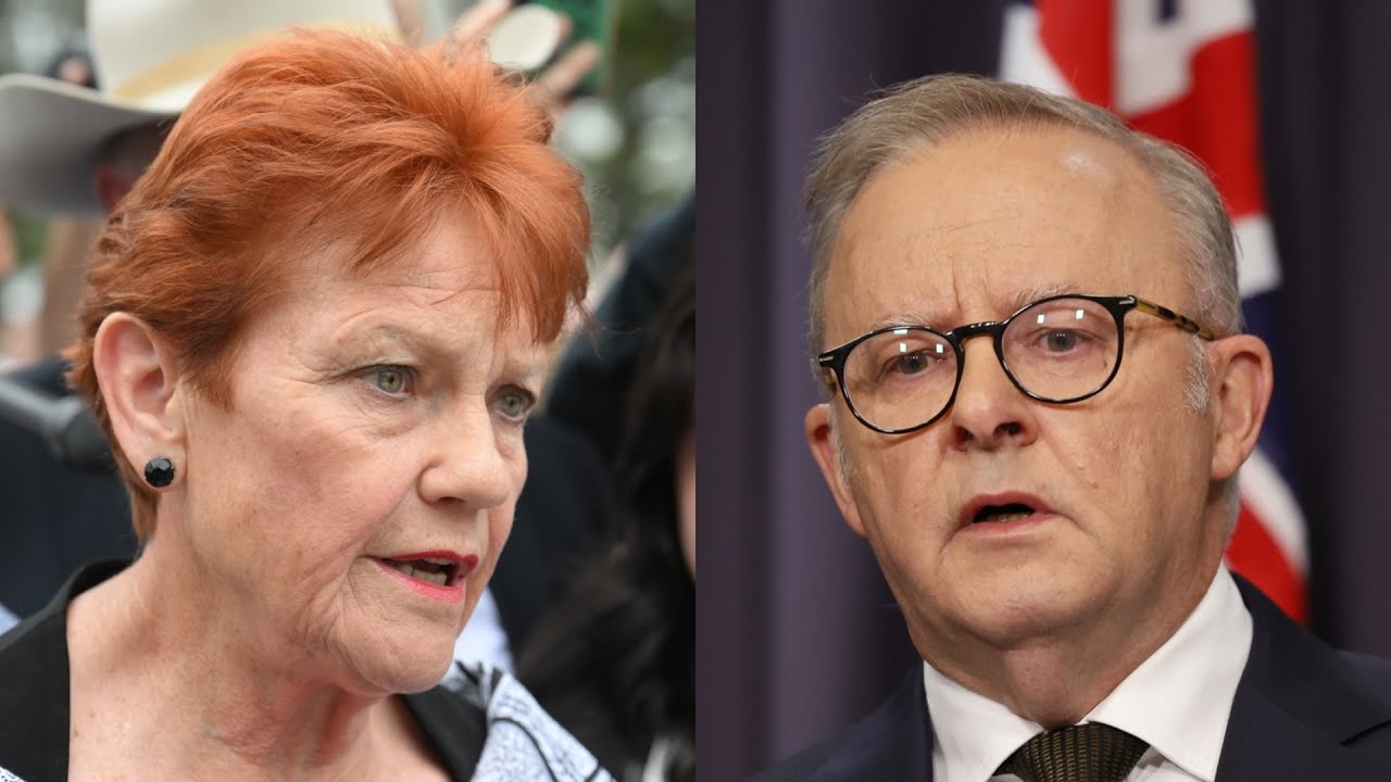 Labor Party in ‘panic mode’ as Pauline Hanson’s One Nation surges