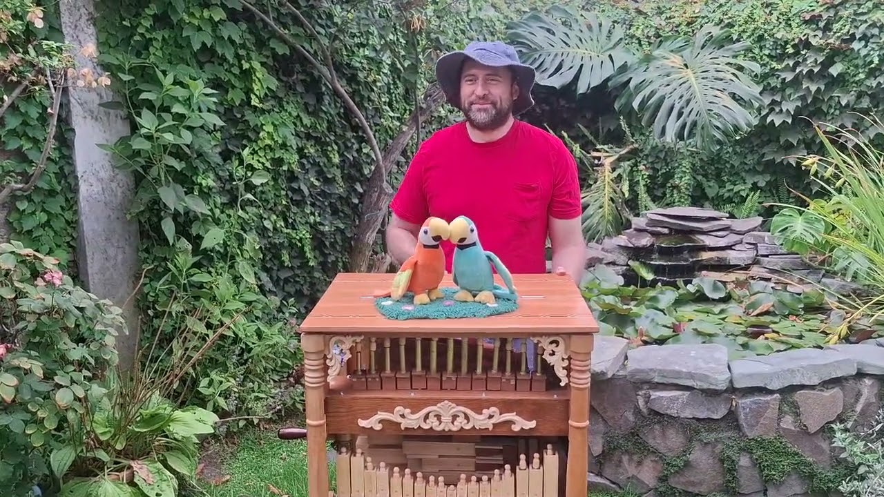 Hungarian dance No. 5 sparkly version