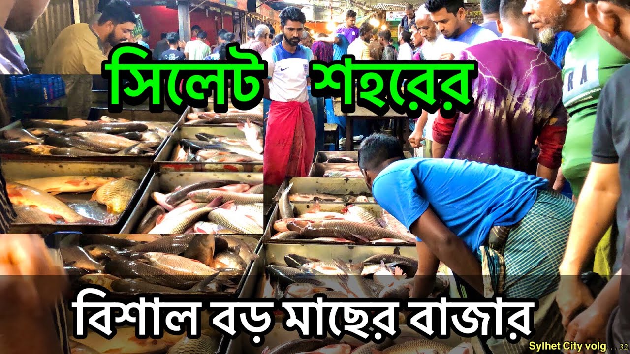 সিলেট শহরের বিশাল বড় মাছের বাজার।। ২০২৫ ।। Bangladesh Sylhet City VLOG-32