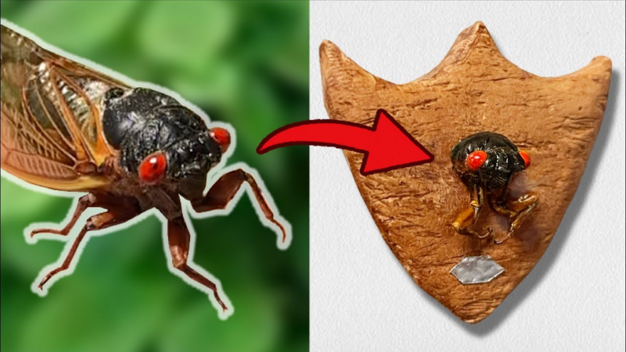 Polymer Clay Magic! Create Your Own Cicada on a Plaque Magnet