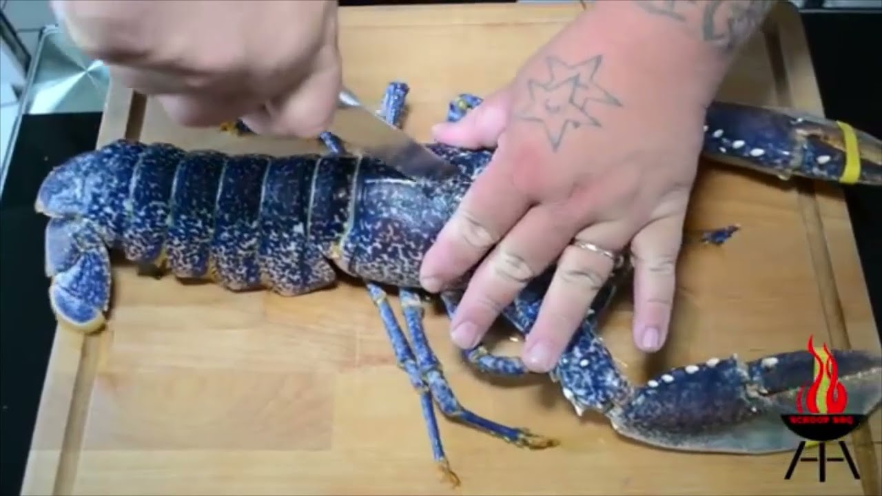 Méthodes de mise à mort des homards