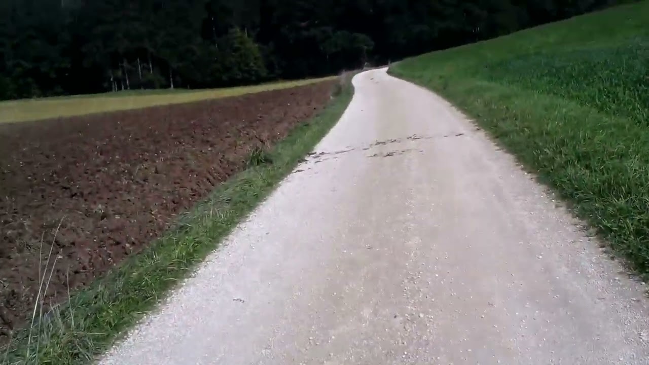 Wo die Kelten Eisen suchten