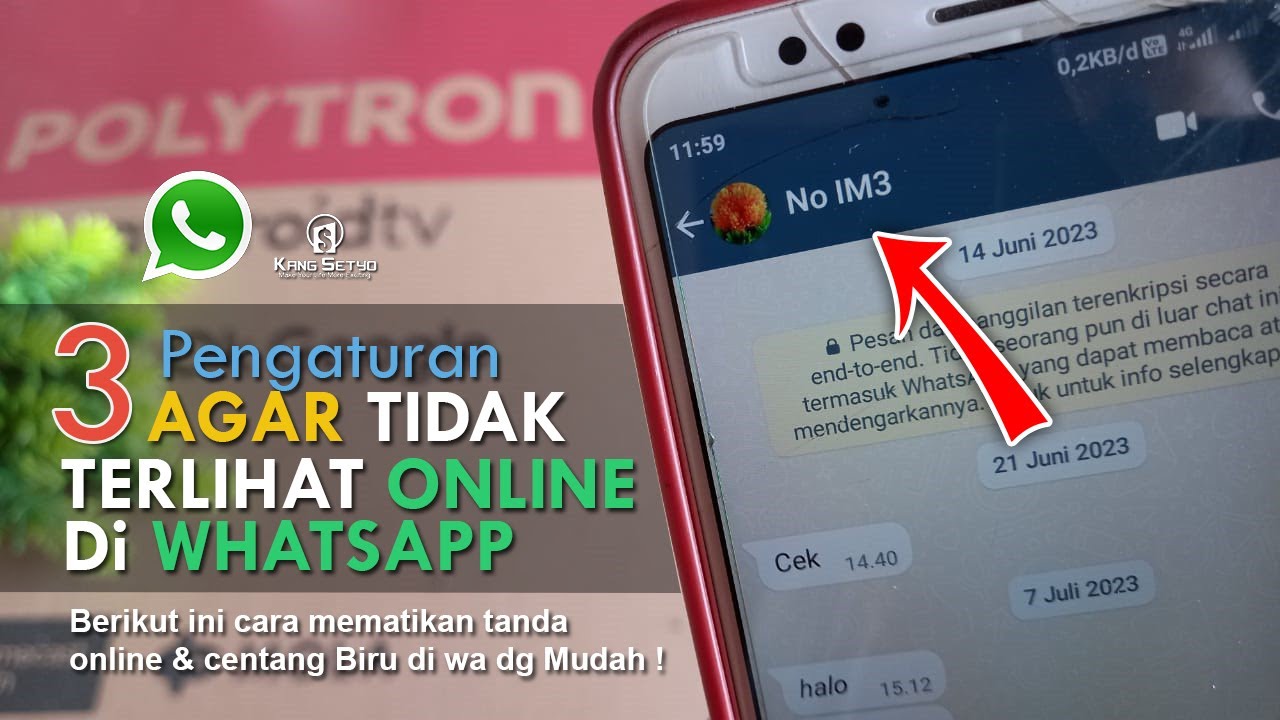 Cara Agar WA Tidak Terlihat Online dan Centang Biru