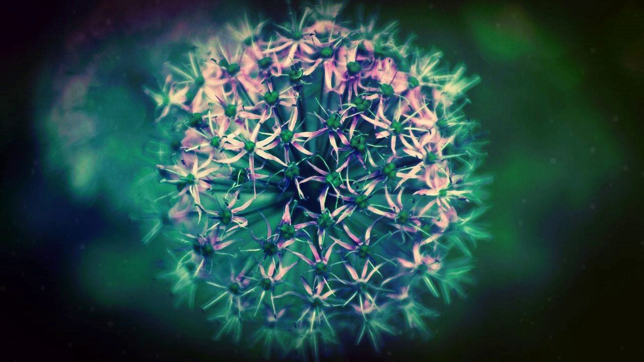 Marin Hoxha - Only Love (ft. Chris Linton)