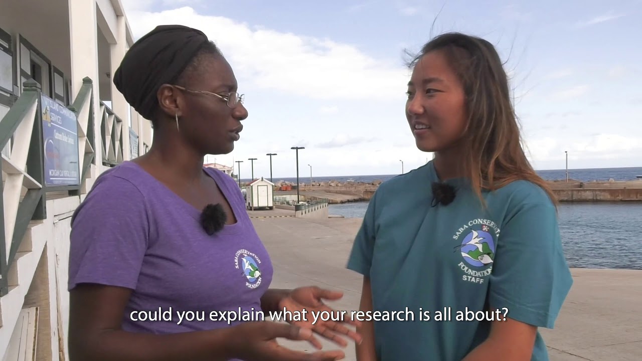 Safeguarding Nature Projects Saba - English subtitles